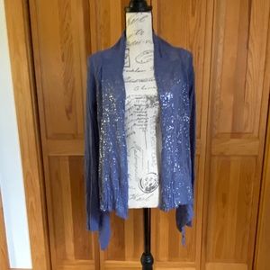 Pretty blue with silver detail sweater.